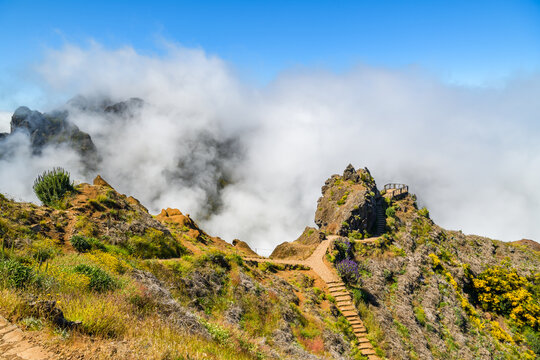 Trail and steps leading to a mountain viewpoint