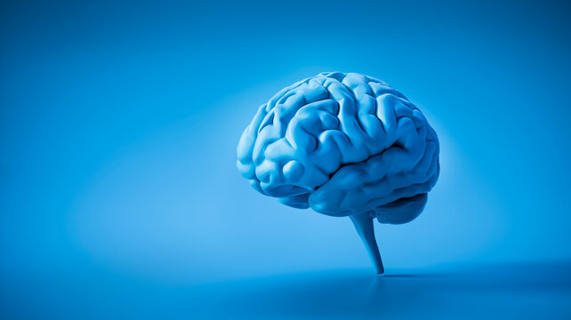 Isolated blue brain on blue background with copy space - 3D illustration	
