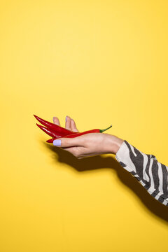 Hand holding red chili pepper on bright yellow background
