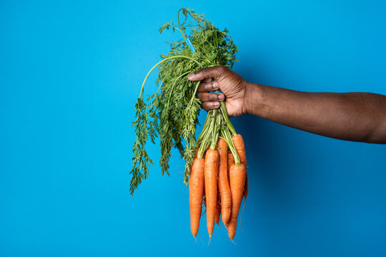 African man holding fresh carrot bunch on blue background