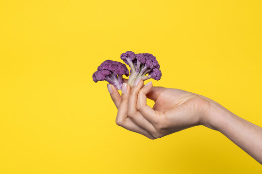 Hand holding purple cauliflower florets on yellow backdrop
