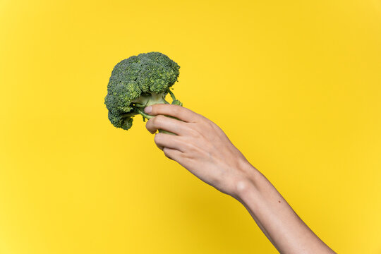 Hand holding broccoli on bright yellow background, copy space