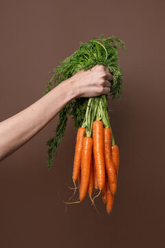 Hand holding fresh carrot bunch with green tops on brown