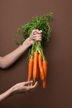 Hand holding fresh carrot bunch on brown background