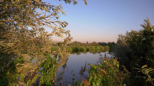 Cinematic View of a Traditional Windmill in the Distance Over a Calm Dutch Lake at Golden Hour, Framed by Willow Branches.