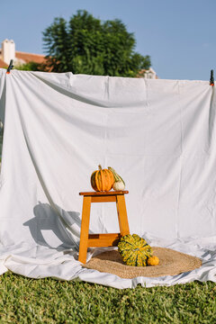 Outdoor still life with pumpkins on stool and white sheet
