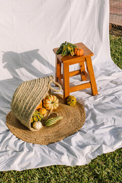 Autumn still life with gourds, basket and stool outdoors