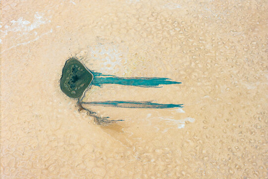 Aerial abstract saline wetland patterns at Salar de Tara