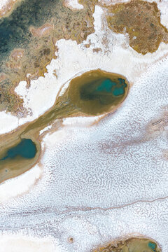 Aerial view of saline wetland patterns at Salar de Tara
