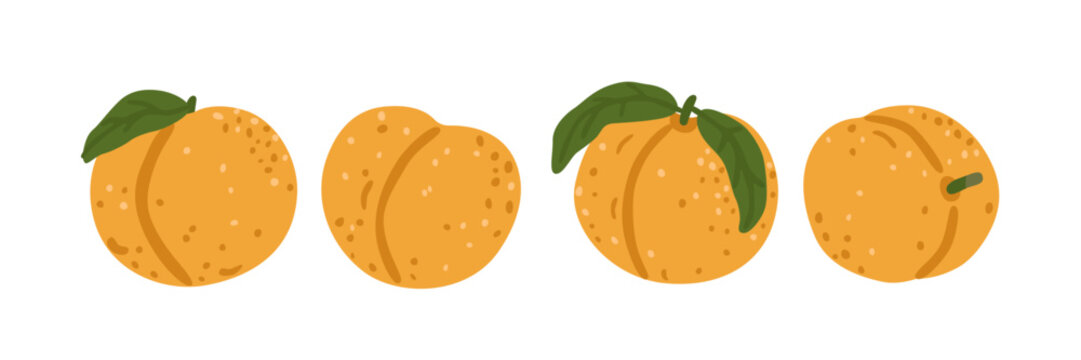 Cute collection of ripe peaches isolated on white background. Fresh organic summer fruit for harvest, healthy food, farming and garden designs. Flat vector illustration.