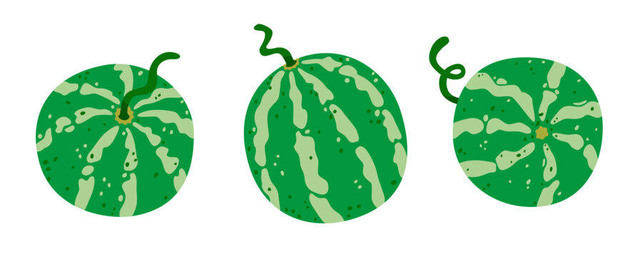 Cute collection of whole watermelons isolated on white background. Fresh organic summer fruit for harvest, healthy food and farm designs. Flat vector illustration.