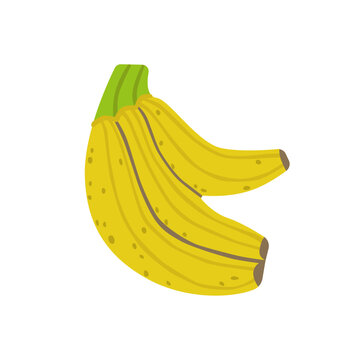 Fresh ripe banana bunch isolated on white background. Sweet organic tropical fruit for healthy food, harvest and farm designs. Flat vector illustration.