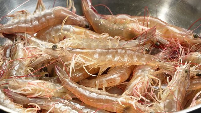 Detailed macro shot of fresh live Vietnamese whiteleg shrimp wiggling in a bowl.