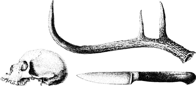 Deer antler skull knife and carving tools black and white stipple drawing for vintage anatomical background and craft design