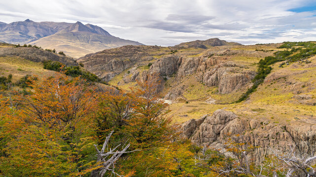 Wide-angle view of the Rio de las Vueltas valley near El Chalt&eacute;n, Patagonia, showcasing a dramatic gorge with steep cliffs, yellow and green autumn foliage, and distant arid mountains under an overcas