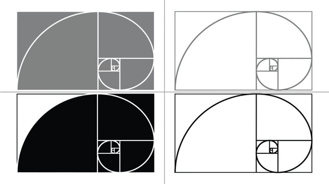 Four variations of the golden ratio spiral displayed in a clean grid with high contrast