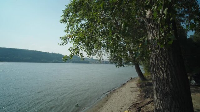 Green deciduous trees grow right next to a sandy riverbank.