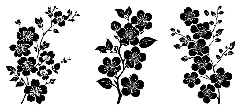 Flowering cherry branches and sakura blossoms in black silhouette style
