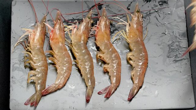 Macro of fresh live Vietnamese whiteleg shrimp neatly arranged in a row on a black slate, close up.