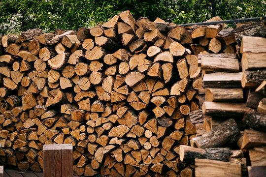 Rustic stacked firewood in spring garden with green foliage