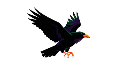 Obraz premium Black crow bird in flight, isolated on white background
