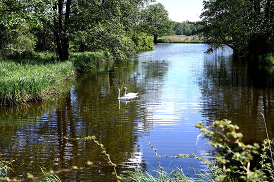 Eggesin, Stichkanal an der Randow und Beek