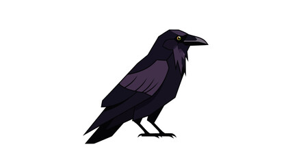 Obraz premium Black raven bird isolated on white background.