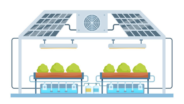 Smart greenhouse. Growing plants with self-watering and self-feeding system. Clean bio agriculture, farm modern technologies, sapid vector concept