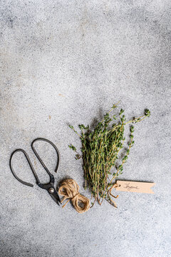 Fresh thyme bundle with rustic scissors on stone