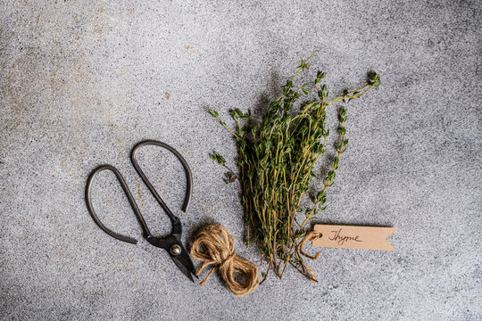 Fresh thyme with scissors on a stone surface