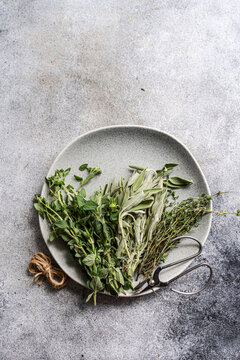 Fresh herbs oregano, sage, and thyme on a plate