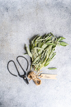 Fresh sage herb on a stone surface