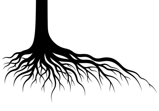 A detailed black silhouette of tree roots spreading outwards from a central trunk.