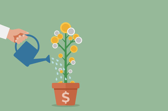 Money plant growing coins concept, savings investment economy