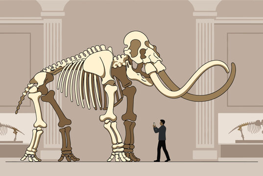 Museum visitor uses his smartphone to take a photo of a massive woolly mammoth skeleton displayed in a grand hall.