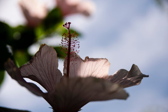 Natura 001