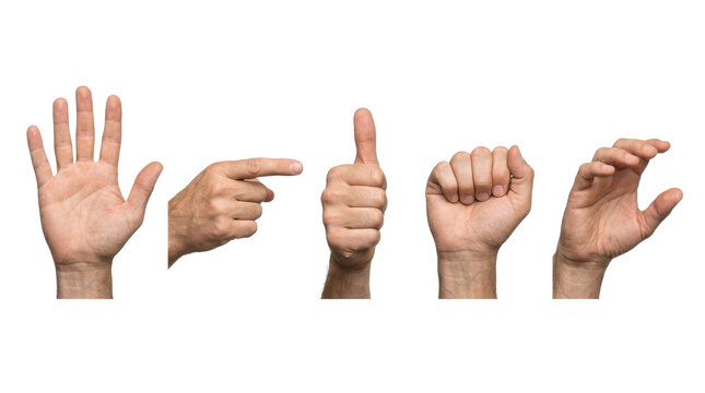 Expressive hand gestures: communicating with hands and signals