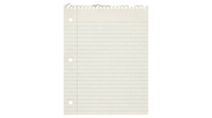 Blank lined notebook paper with torn edges © Ivan