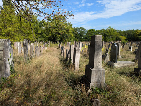 rows of gravestones in an old European Jewish cemetery
