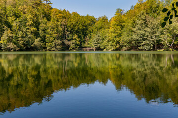 Fototapeta premium Tranquil forest lake with perfect reflection of lush green trees on calm water surface