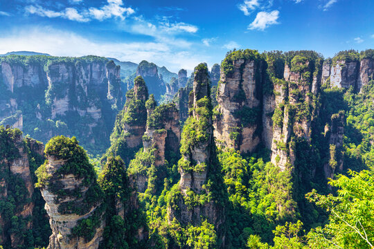 Zhangjiajie National Forest Park. Gigantic quartz pillar mountains rising from the canyon during summer sunny day. Hunan, China.