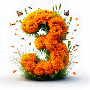 numero 3, cempasuchil, catrinas, sombrero, garbanzera, flor, naranja, petalos, mariposas, corazon, craneo, calavera, catrin, velas, accesorios, ornamentos, elegante, decoraciones, objeto, celebracione