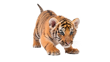 Obraz premium Cute small toy figurine tiger animal character standing isolated on a transparent background