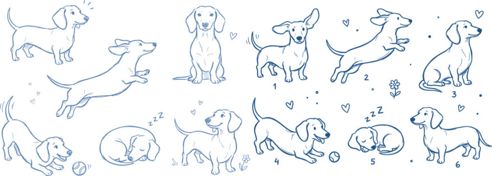 Dachshund dogs in various playful poses with cute doodles and hearts on a clean white background