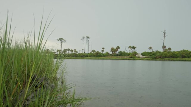 Raindrops on a coastal lake with distant palmetto trees