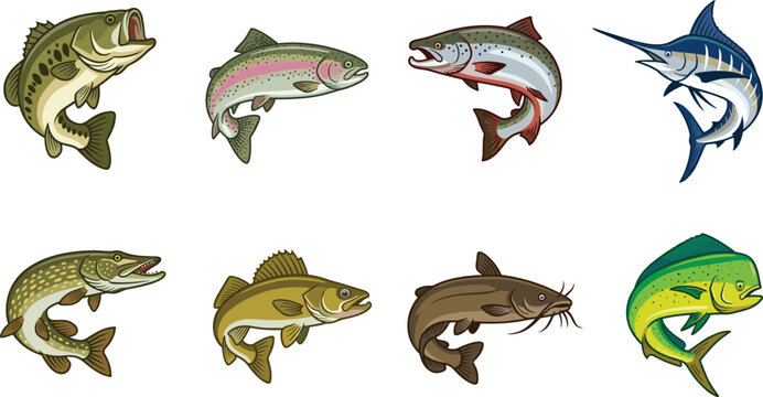 Collection of various freshwater and saltwater fish species including bass, trout, salmon, marlin, pike, walleye, catfish, and mahi