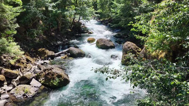 Fresh water flows down the Clackamas River in Northwestern Oregon, not far from Salem. Originating in the Mt. Hood National Forest, this beautiful 83-mile river is a tributary to the Willamette River.