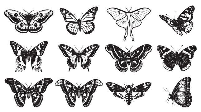 Black and white butterfly, moth vector icons, insect illustrations, 10 piece set