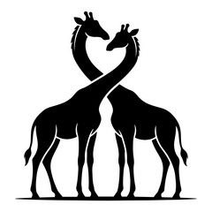 Fototapeta premium Giraffe couple with crossed necks standing together black silhouette vector design