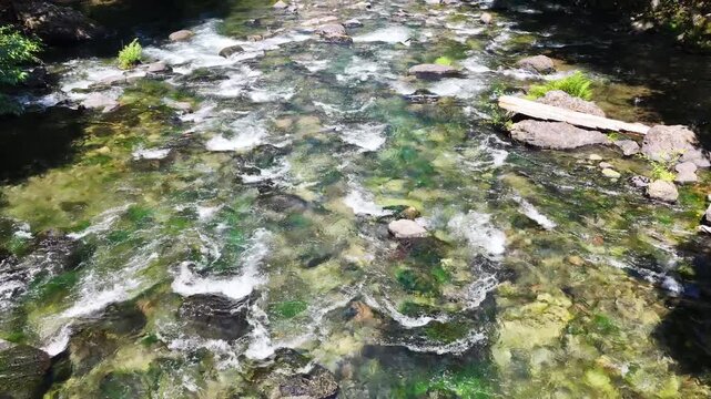 Fresh water flows down the Clackamas River in Northwestern Oregon, not far from Salem. Originating in the Mt. Hood National Forest, this beautiful 83-mile river is a tributary to the Willamette River.